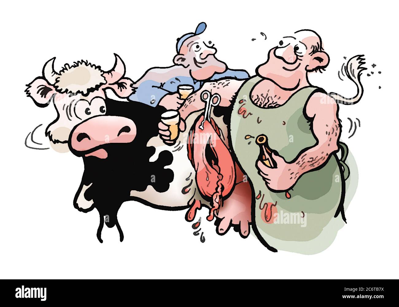 Buon contadino e veterinario con bottiglia di birra in mano che parla accogliente e mezzo-ubriaco con l'altro durante una sezione cesarea di una mucca Foto Stock