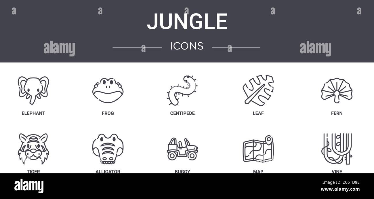 set di icone della linea jungle concept. contiene icone utilizzabili per web, logo, ui/ux quali rana, foglia, tigre, buggy, mappa, vite, felce, centipede Illustrazione Vettoriale