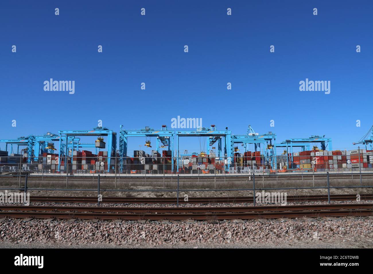 Gru blu presso il terminal dei container APM nel porto di Maasvlakte nel porto di Rotterdam Foto Stock