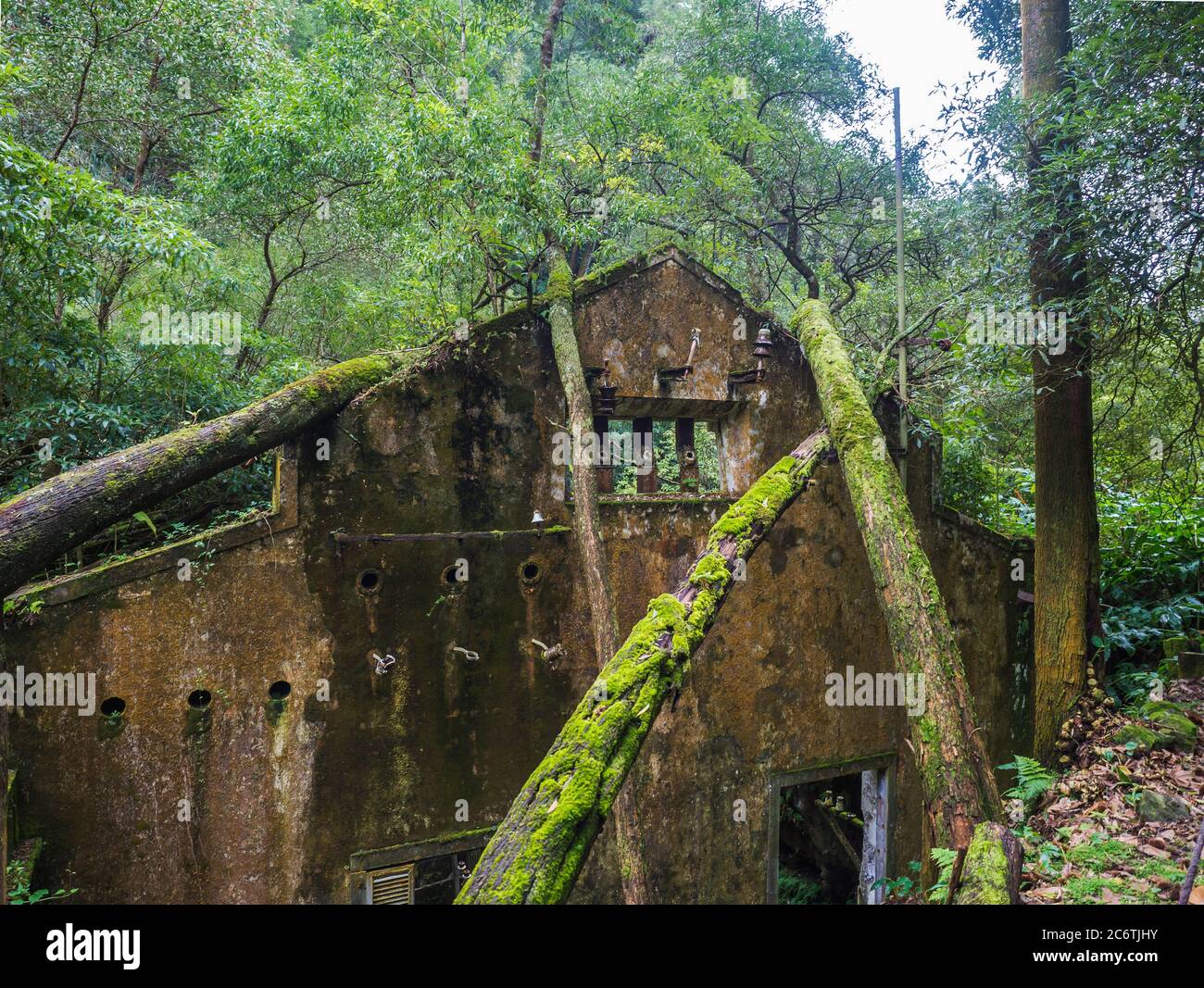 Vista sulle rovine arrugginite della vecchia fabbrica abbandonata del 19 ° secolo Fabrica da Cidade e Fabrica da Vila, perso nella foresta con muschio e felci sul sentiero escursionistico Foto Stock