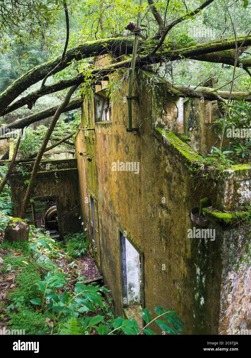 Vista sulle rovine arrugginite della vecchia fabbrica abbandonata del 19 ° secolo Fabrica da Cidade e Fabrica da Vila, perso nella foresta con muschio e felci sul sentiero escursionistico Foto Stock