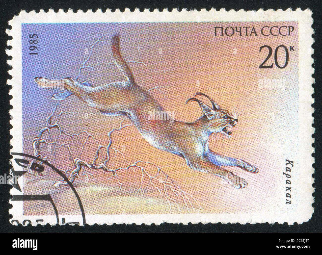 RUSSIA - CIRCA 1985: Francobollo stampato dalla Russia, mostra Caracal, circa 1985 Foto Stock