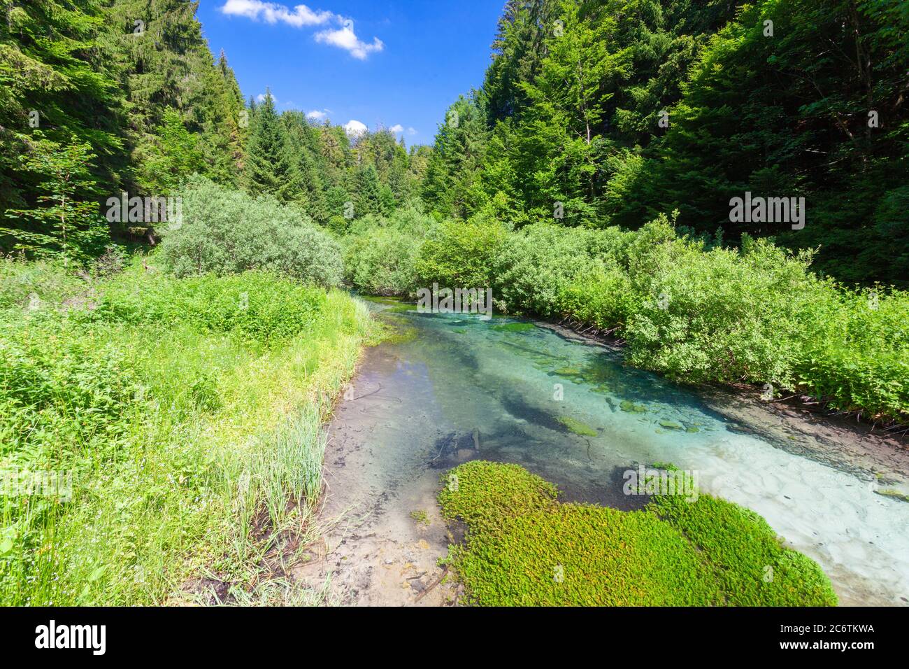 Il fiume Nero sul Parco Nazionale dei Laghi di Plitvice, Croazia Foto Stock
