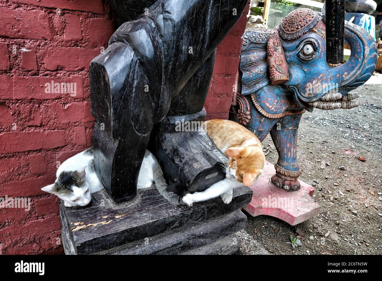 Due gatti che giocano ai piedi di una statua a Fort Kochi, Kerala. India. Foto Stock
