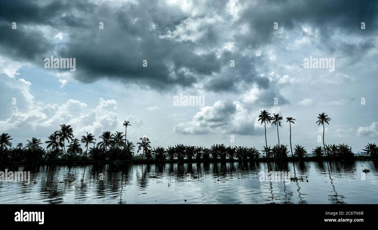 Silhouette di palme nelle acque posteriori di Aleppey in Kerala. India. Foto Stock