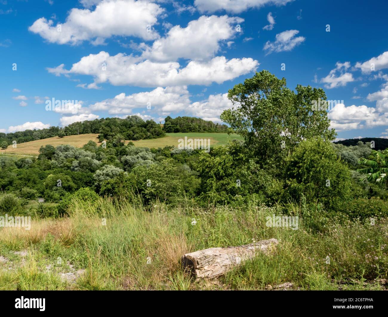 Foto paesaggistica nella Contea di Washington, nella Pennsylvania sud-occidentale, non lontano da Pittsburgh. Colline ondulate piene di campi verdi e alberi, con Foto Stock