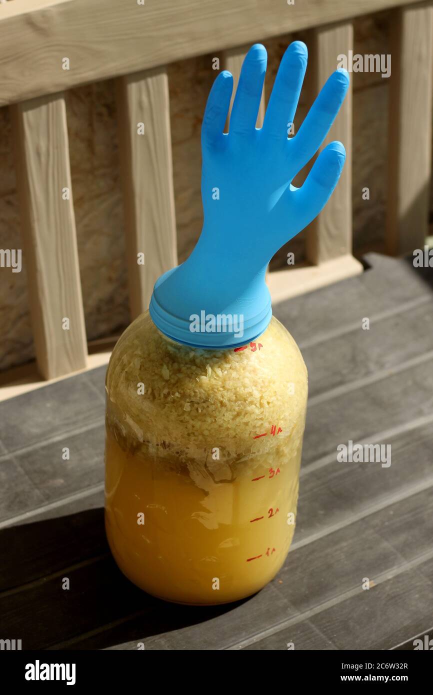 Mosto di mele in un vaso di fermentazione, con un originale blocco ad aria. Foto Stock