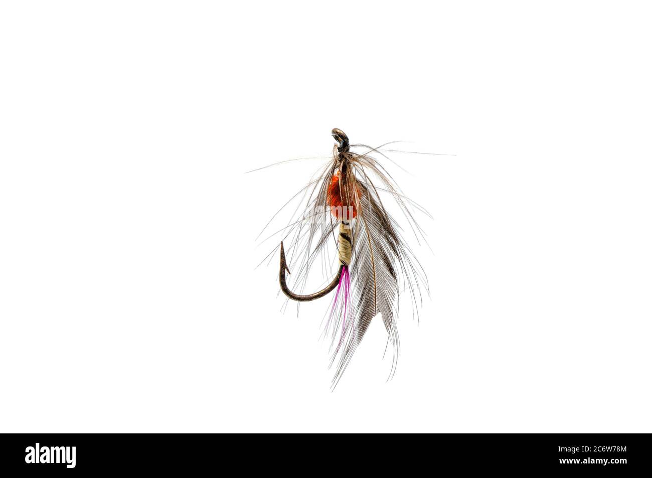 Primo piano di una pesca colorata volare su uno sfondo bianco. Foto Stock