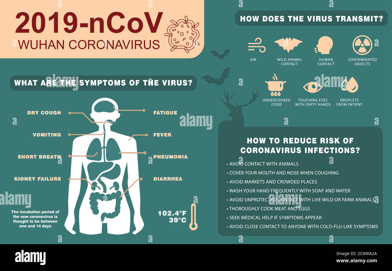 2019-nsintomi di CoV e diffusione. Vettore infografico del virus corona. Suggerimenti per la protezione antivirus. Ricerca e sviluppo di un vaccino preventivo. Illustrazione Vettoriale