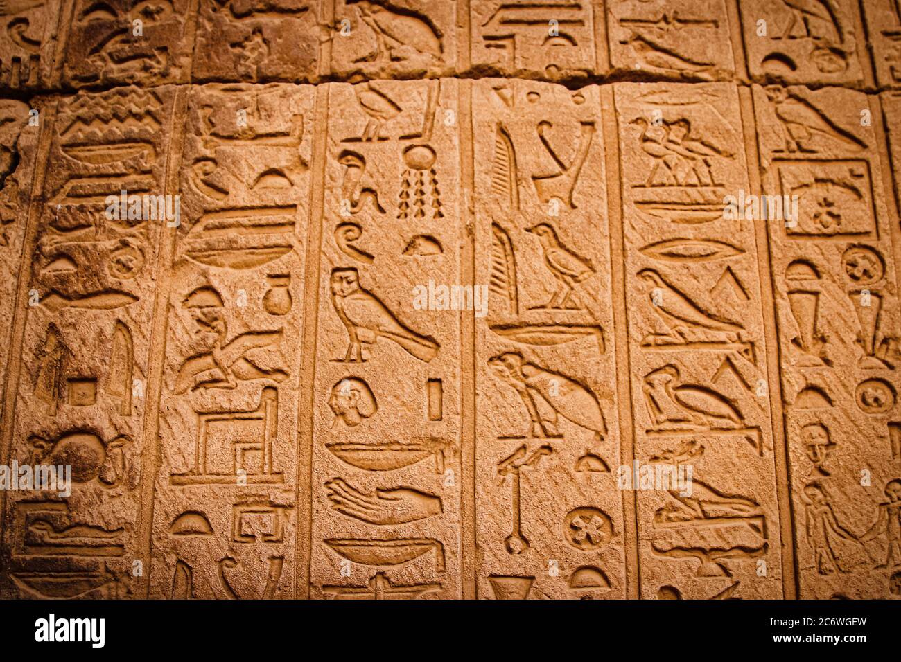 Antica scrittura egiziana, geroglifici egizi. Foto Stock