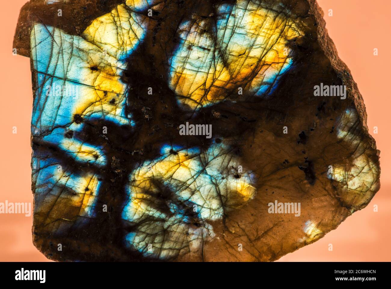 Labradorite, di Bruce Montagne/Dembinsky Photo Assoc Foto Stock
