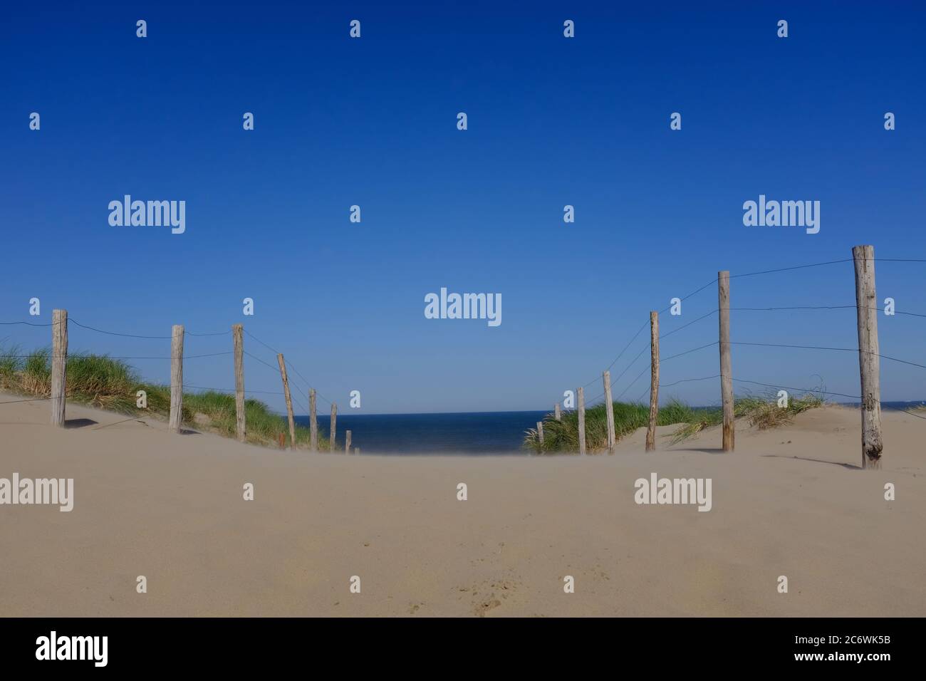 Dune sabbiose olandesi con un cielo blu radioso, una recinzione e un'erba di martora in una giornata di sole vicino a Bloemendaal Foto Stock