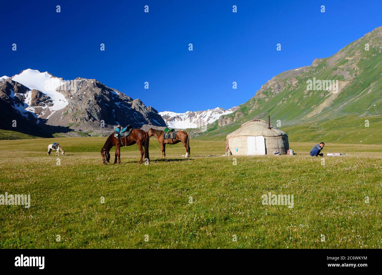 Cavalli e yurt in Tian Shan montagne. Kirghizistan Foto Stock