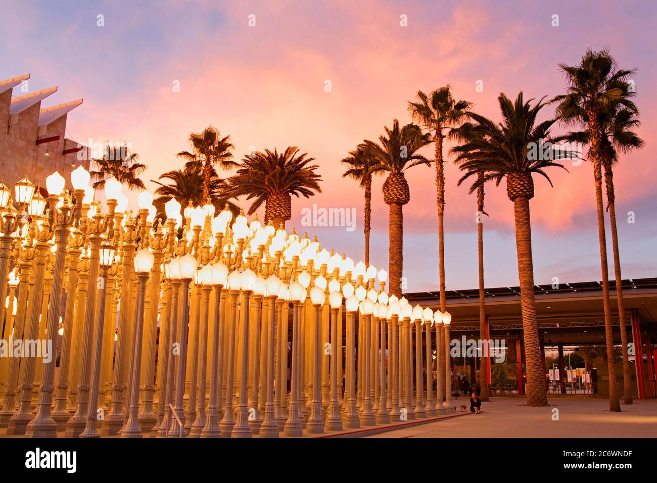 Urban Light di Chris Burden, Los Angeles County Museum of Art, Wilshire Boulevard, Los Angeles, California, USA, Nord America Foto Stock
