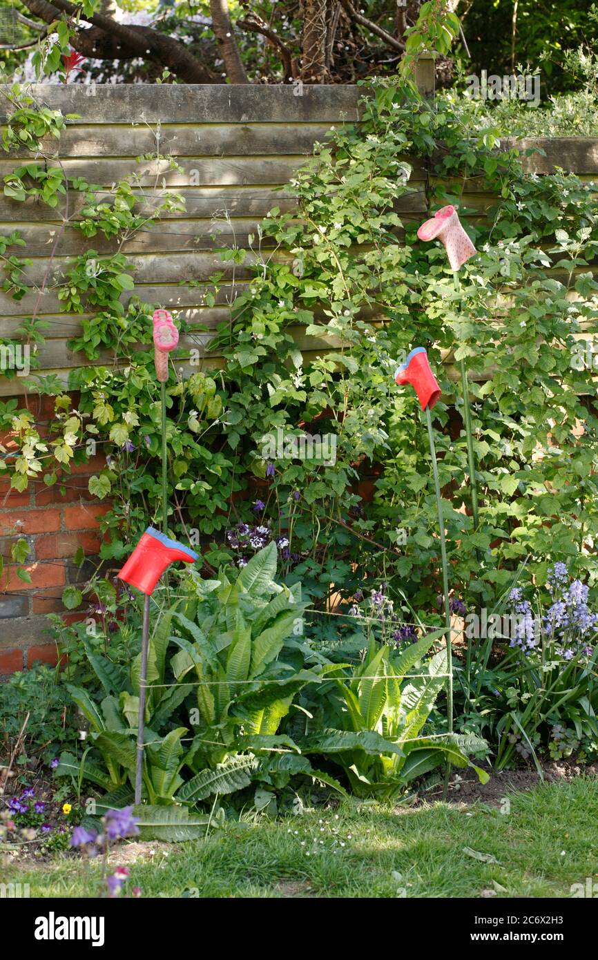 Colorati stivali wellington per bambini utilizzati in giardino come paletti o protettori o cappucci per gli occhi. Foto Stock