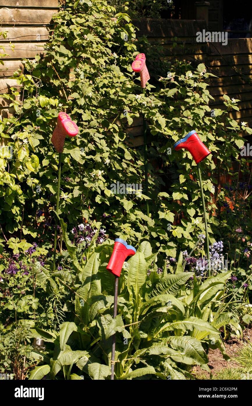 Colorati stivali wellington per bambini utilizzati in giardino come paletti o protettori o cappucci per gli occhi. Foto Stock