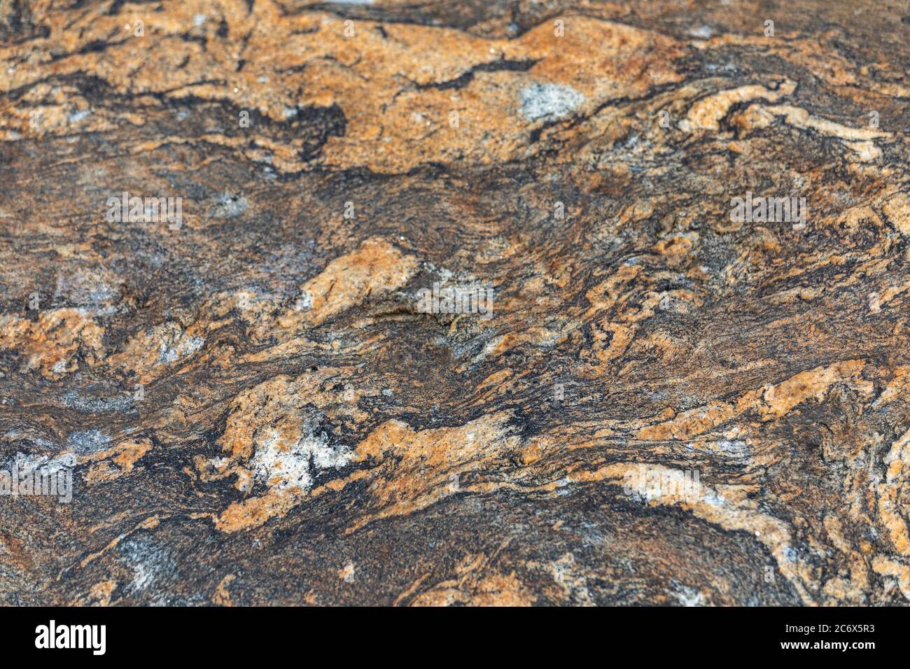 Modello migmatite nero e arancione su roccia costiera Foto Stock