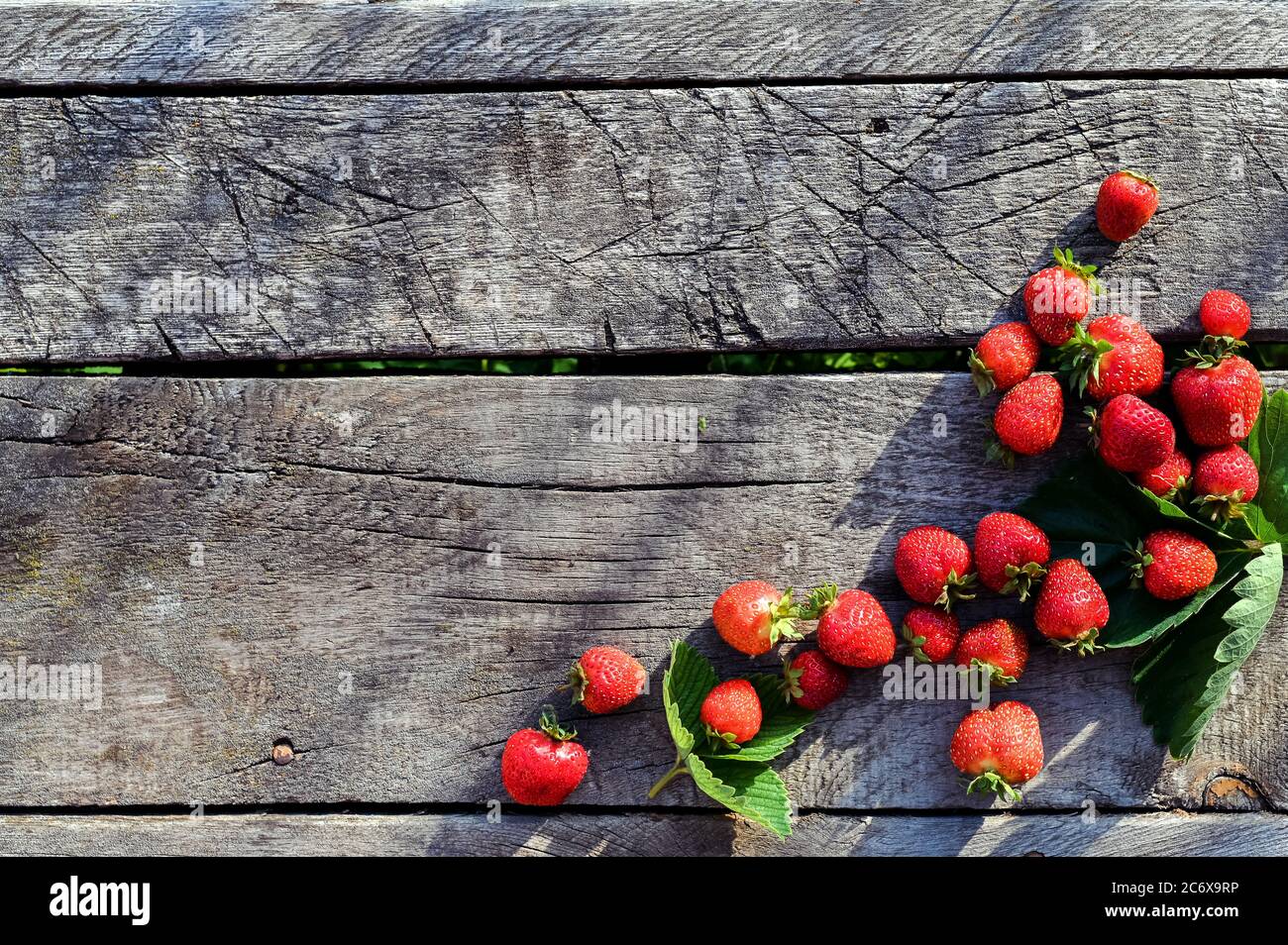 Fragole su rustico sfondo di legno con spazio per la copia. Bacche biologiche fresche Foto Stock