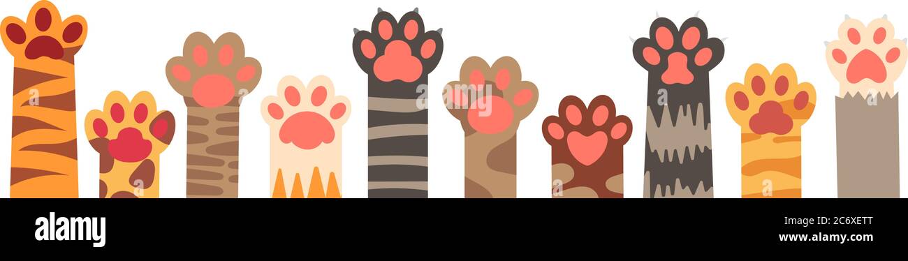 Set di zampe colorate per gatti. Carino artigli felini con strisce e punti isolati su sfondo bianco. Animale domestico Illustrazione Vettoriale