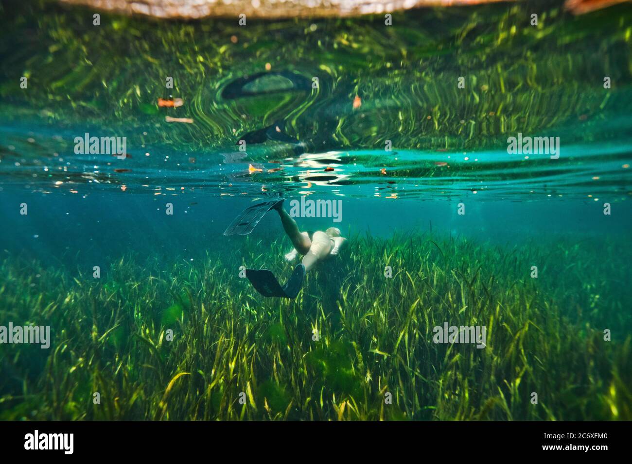 Foto subacquea di una donna che fa snorkeling in acque cristalline nuotando appena sopra l'erba del mare Foto Stock