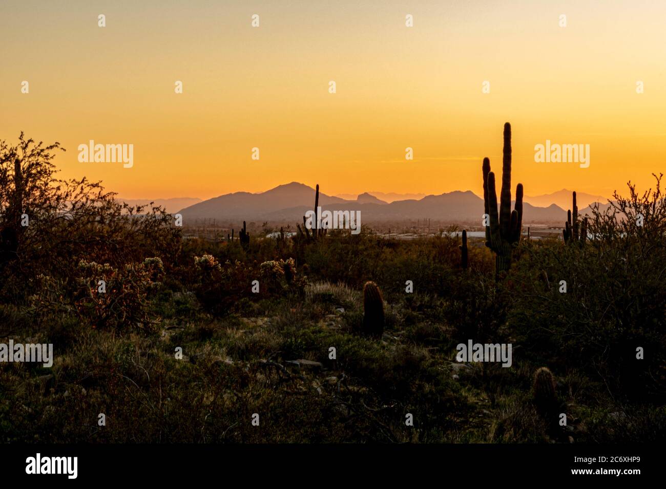 Tramonto del deserto Foto Stock
