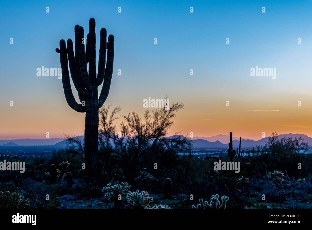 Tramonto del deserto Foto Stock