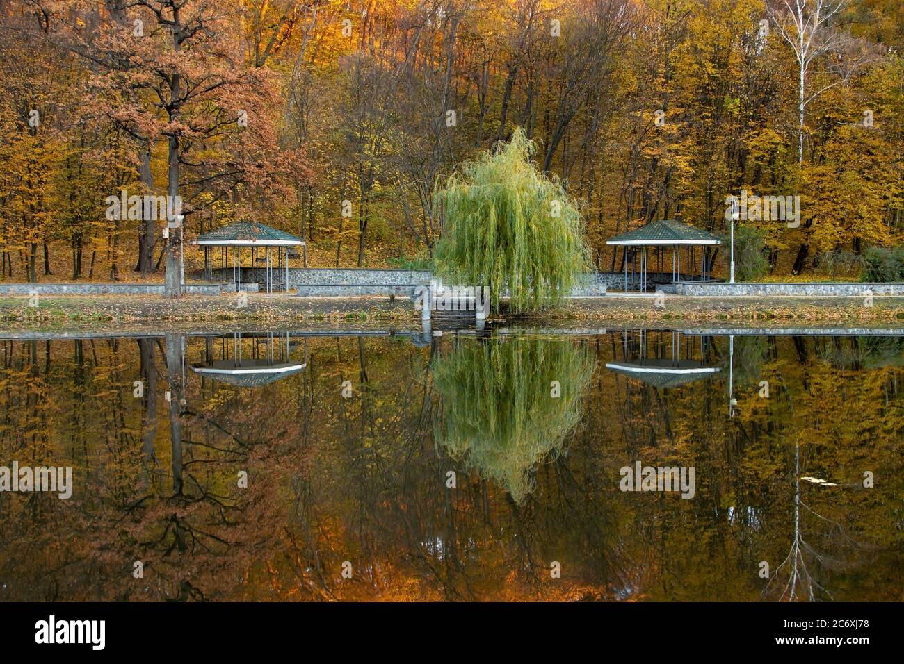Serata nel parco cittadino d'autunno. Gli alberi si riflettono nello stagno. Ucraina, Kiev. Parco 'Feofania'. Foto Stock