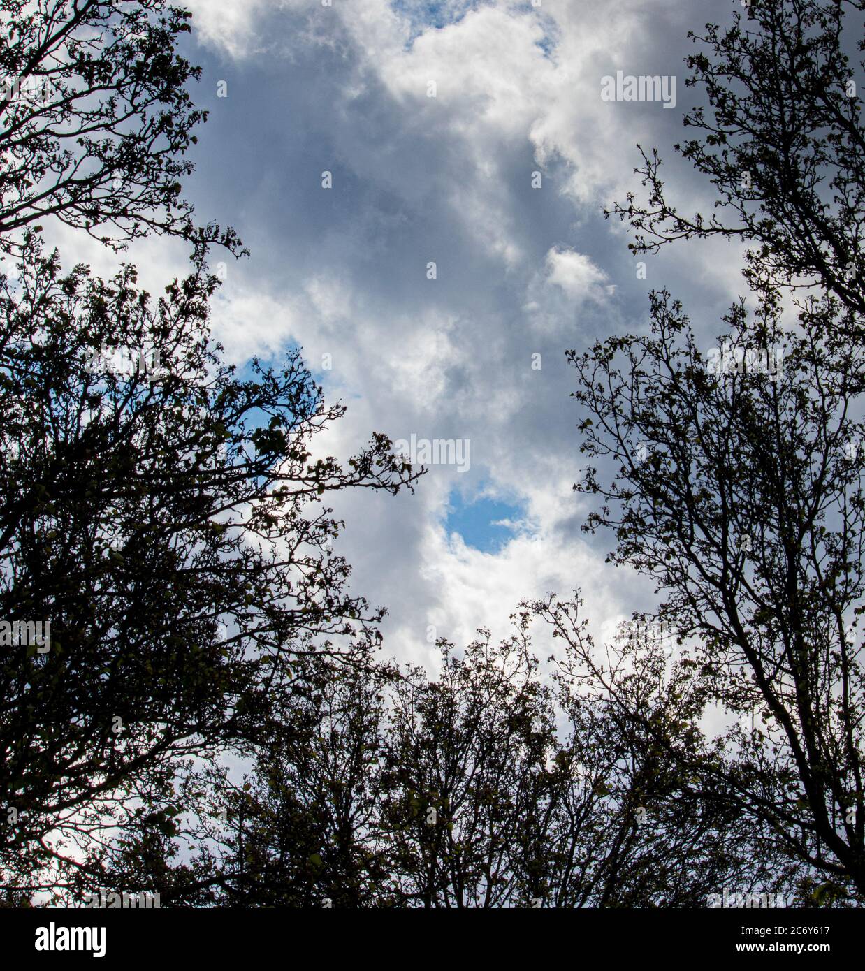 Nuvole di Cumulus in un giorno di sole con cieli blu sulla Susquehanna Valley, Lancaster County, Pennsylvania durante la primavera iniziale Foto Stock
