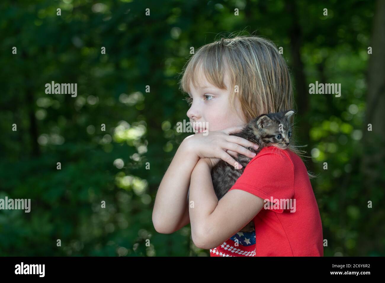 Una ragazza di cinque anni che tiene un gattino tabby all'aperto in estate con alberi sullo sfondo. Foto Stock