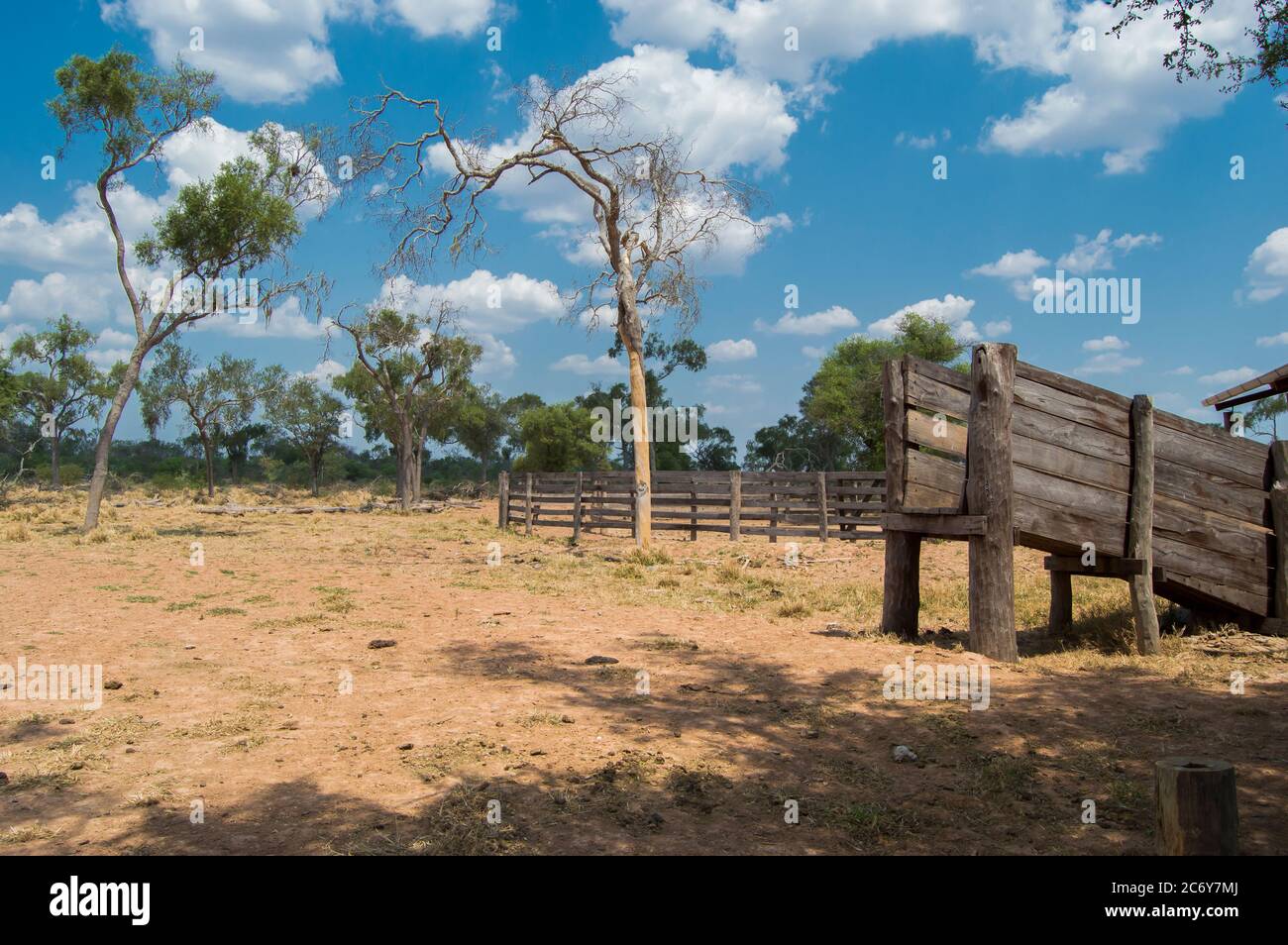Vecchia rampa di carico rustico di bestiame su una fattoria in Paraguay Foto Stock