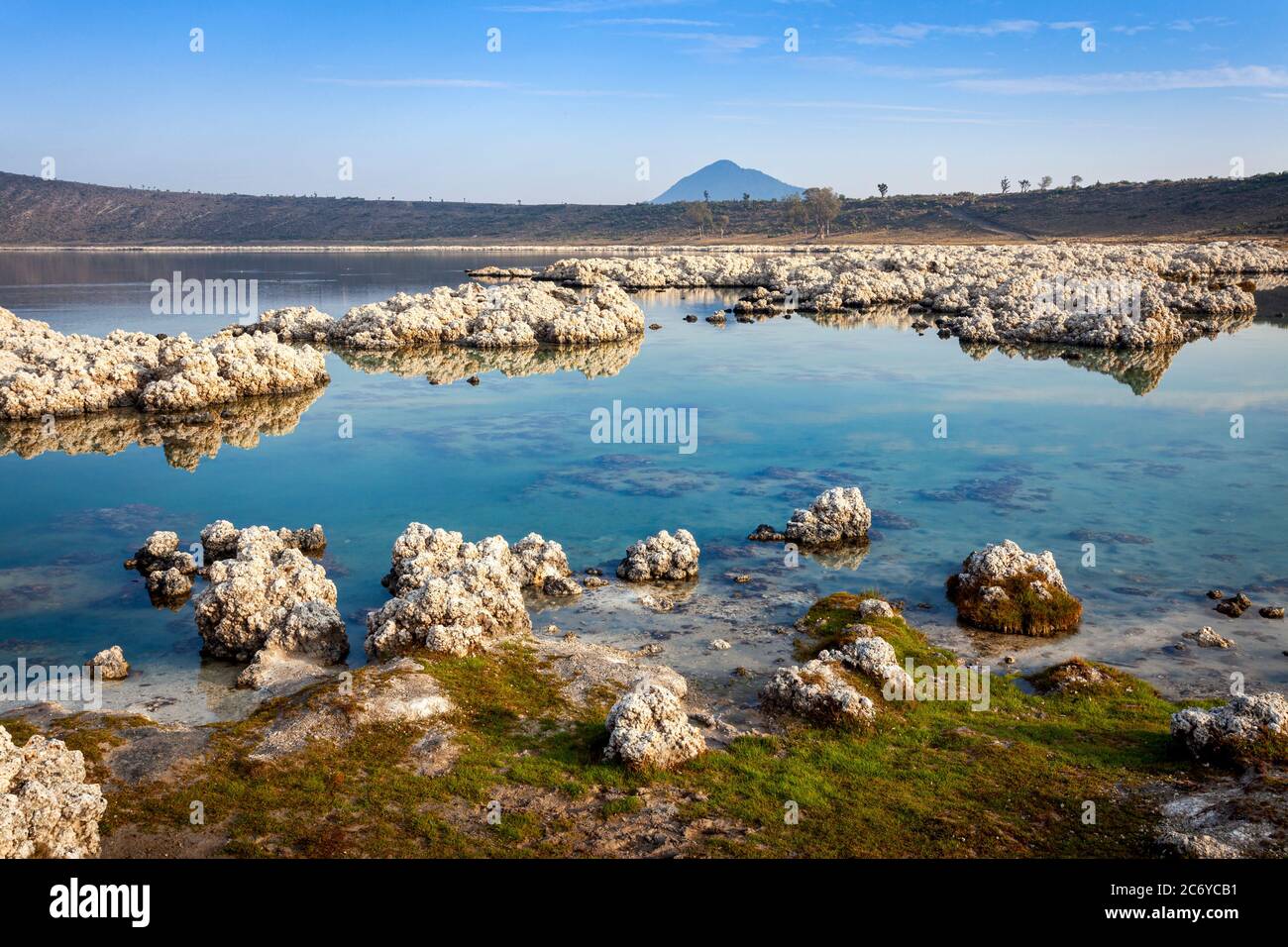 Formazioni rocciose calcificate nel lago Alchichica a Puebla, Messico. Foto Stock