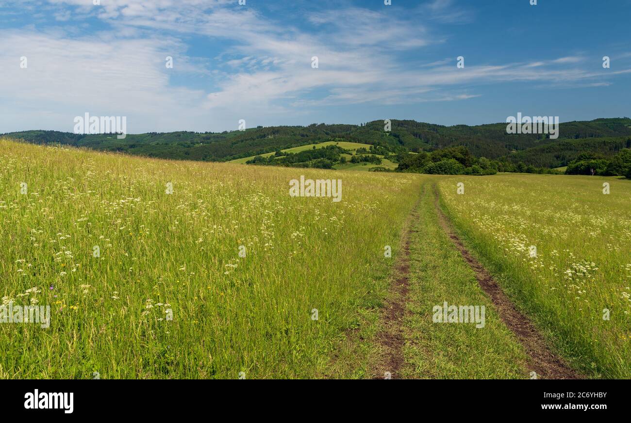 Belle montagne Bile Karpaty con un mix di prati, colline e foreste sui confini ceco - slovacco sopra Nedasova Lhota villaggio nella repubblica Ceca Foto Stock