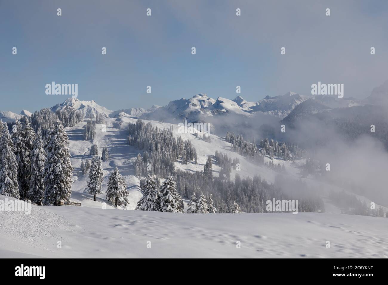 Paesaggio invernale appena innevato sull'Ibergeregg nella Svizzera centrale Foto Stock