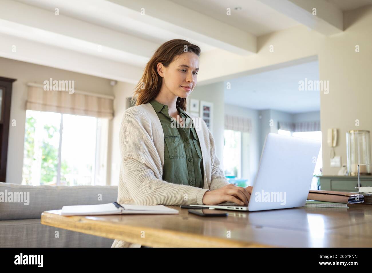 Donna che utilizza portatile a casa Foto Stock