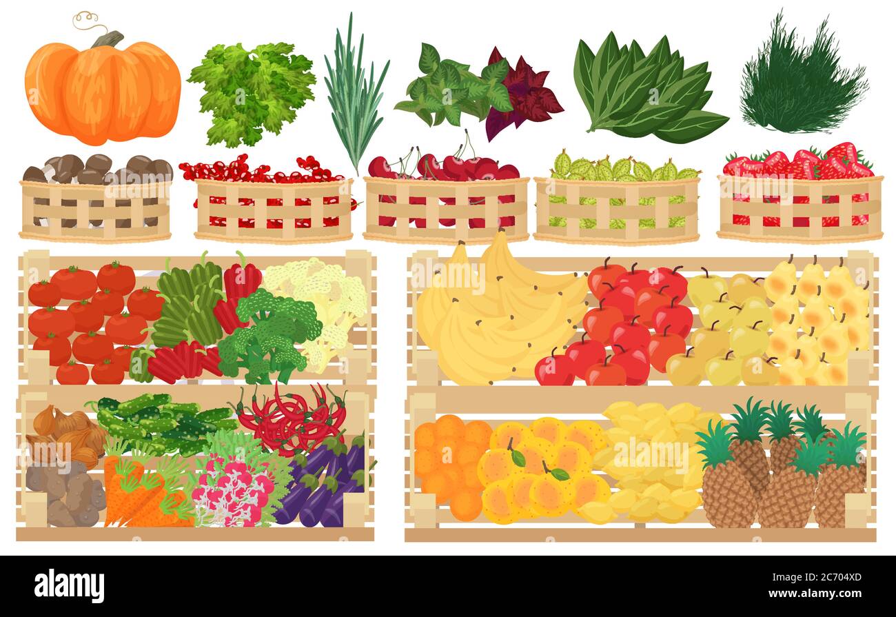 Raccolta di illustrazioni vettoriali di qualità premium di frutta, bacche e verdura in gabbie di supermercati Illustrazione Vettoriale
