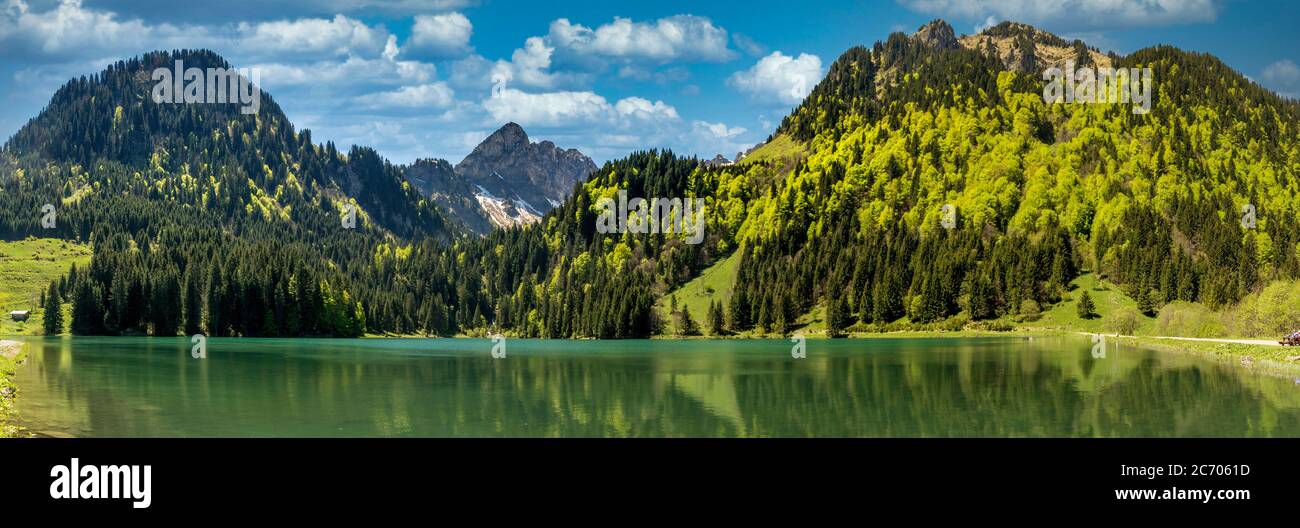 Il lago di Plagnes. Chablais. alpi francesi. Alta Savoia. Auvergne-Rodano-Alpi. Francia Foto Stock