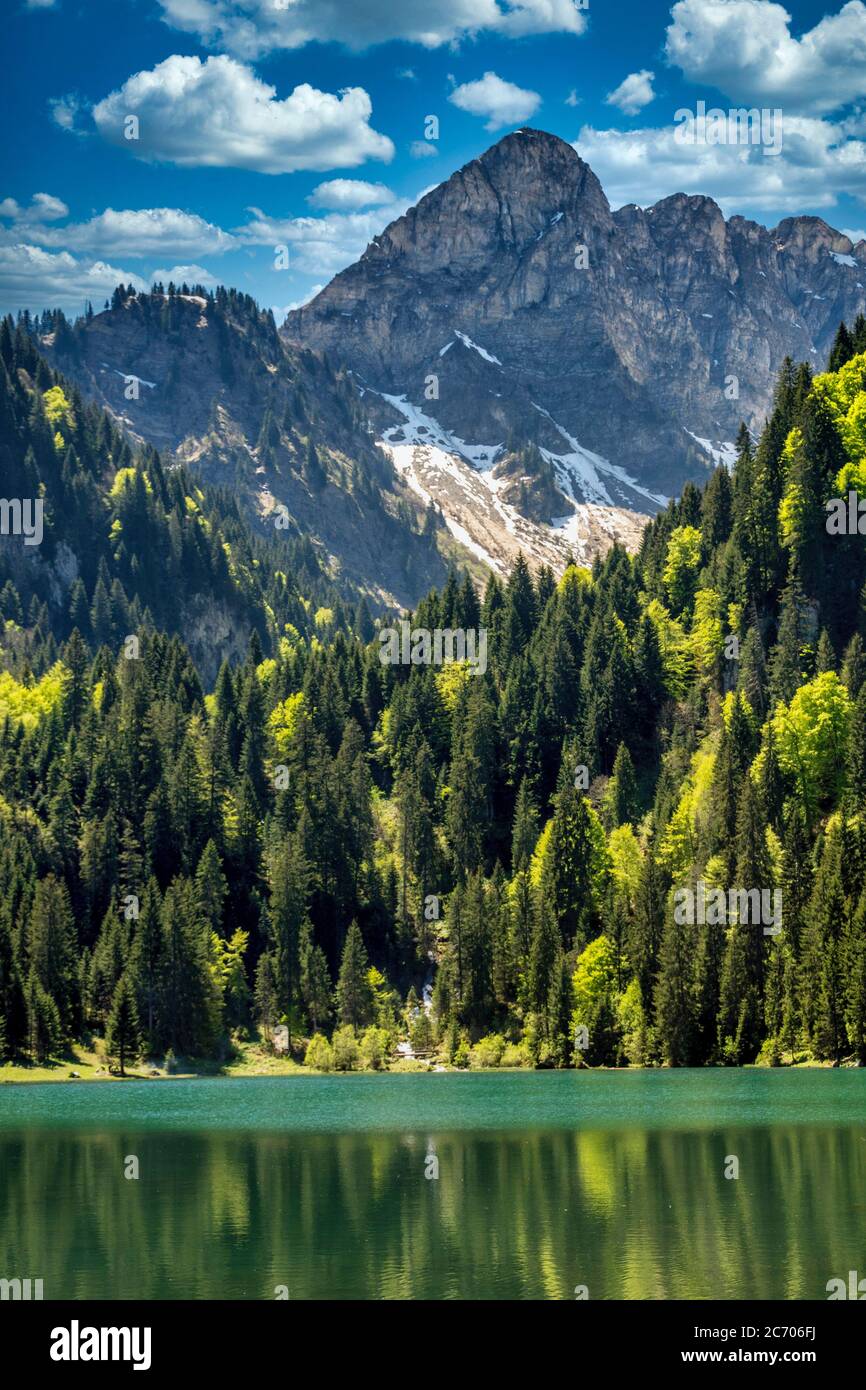 Il lago di Plagnes. Chablais. alpi francesi. Alta Savoia. Auvergne-Rodano-Alpi. Francia Foto Stock