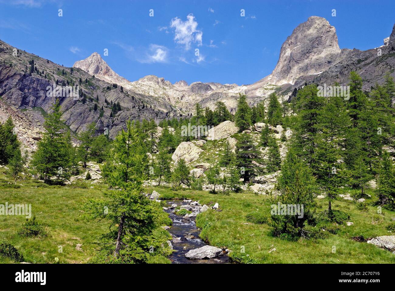 torrente di montagna nel Caïres de la Cougourde, nel Parco Nazionale del Mercantour, nella Haute Vésubie in Francia Foto Stock