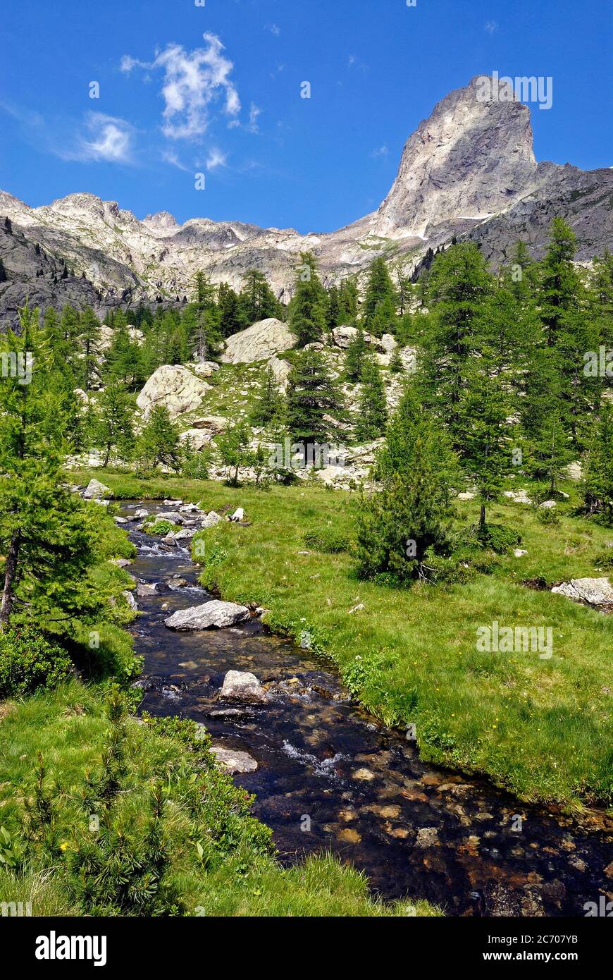 torrente di montagna nel Caïres de la Cougourde, nel Parco Nazionale del Mercantour, nella Haute Vésubie in Francia Foto Stock
