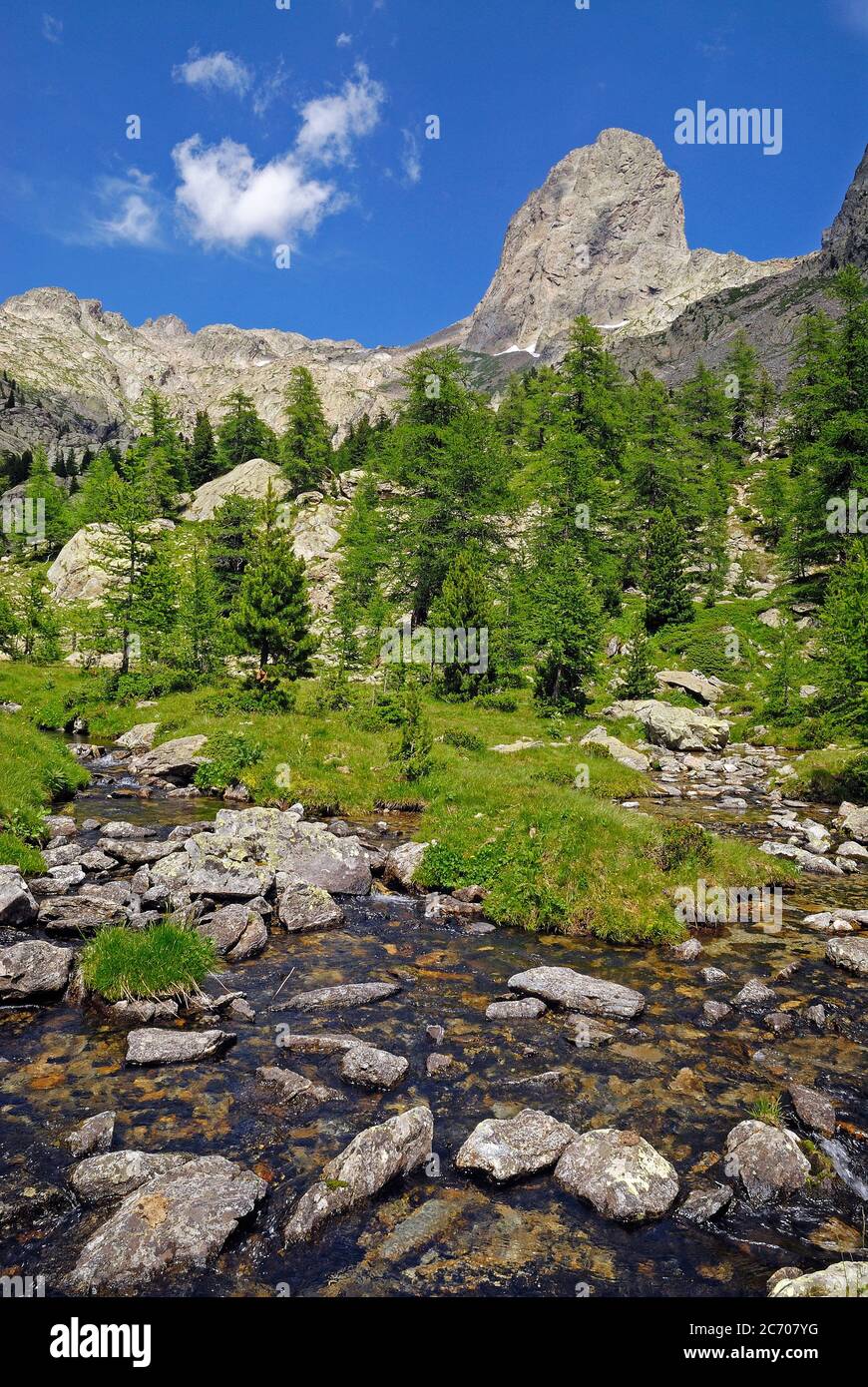 torrente di montagna nel Caïres de la Cougourde, nel Parco Nazionale del Mercantour, nella Haute Vésubie in Francia Foto Stock