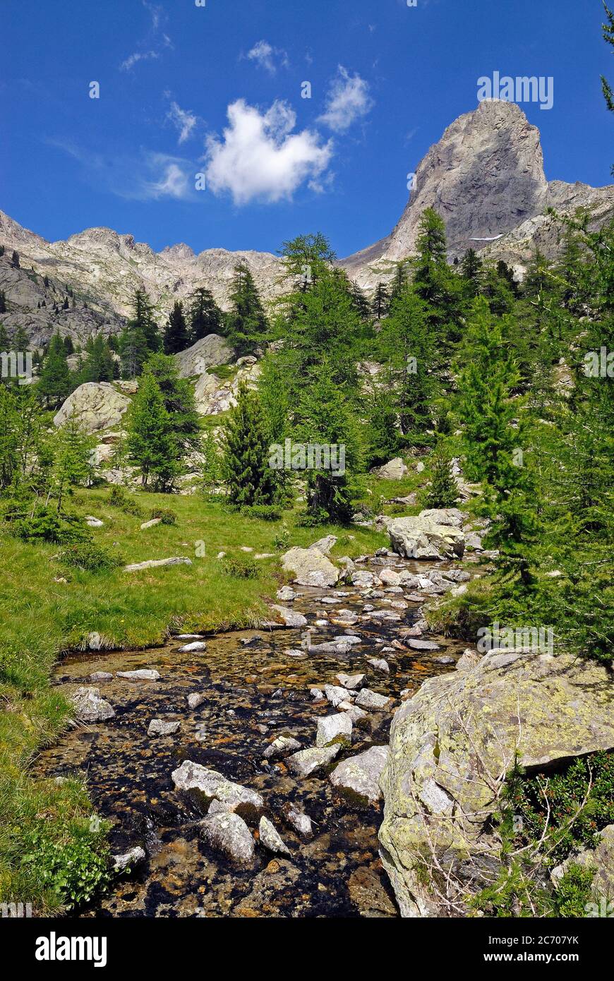 torrente di montagna nel Caïres de la Cougourde, nel Parco Nazionale del Mercantour, nella Haute Vésubie in Francia Foto Stock