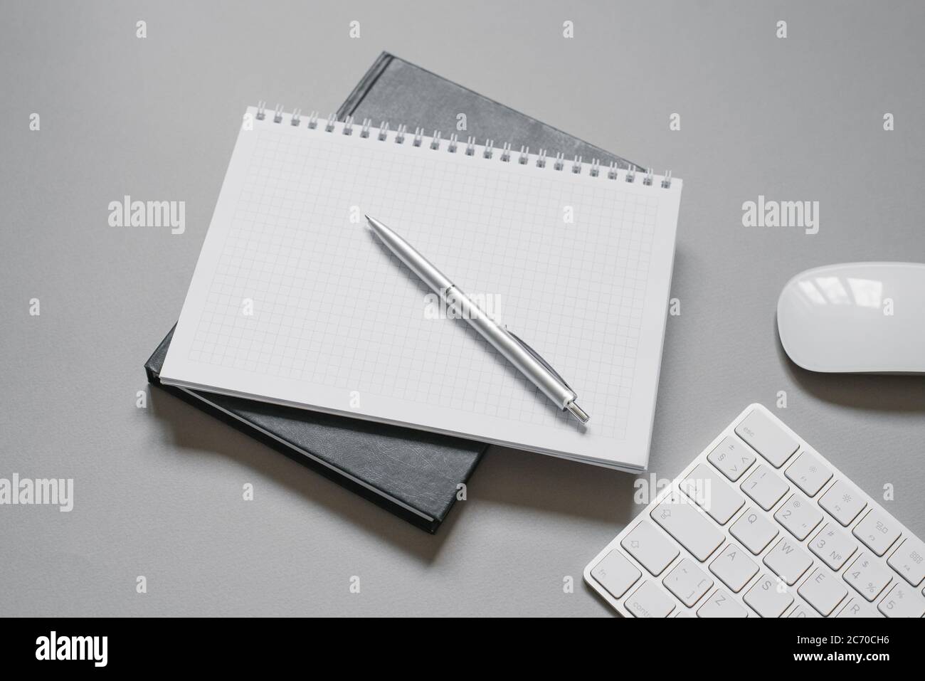 Notebook o diari con una pagina vuota e una penna a sfera sopra di essi. Luogo di lavoro dell'ufficio Foto Stock