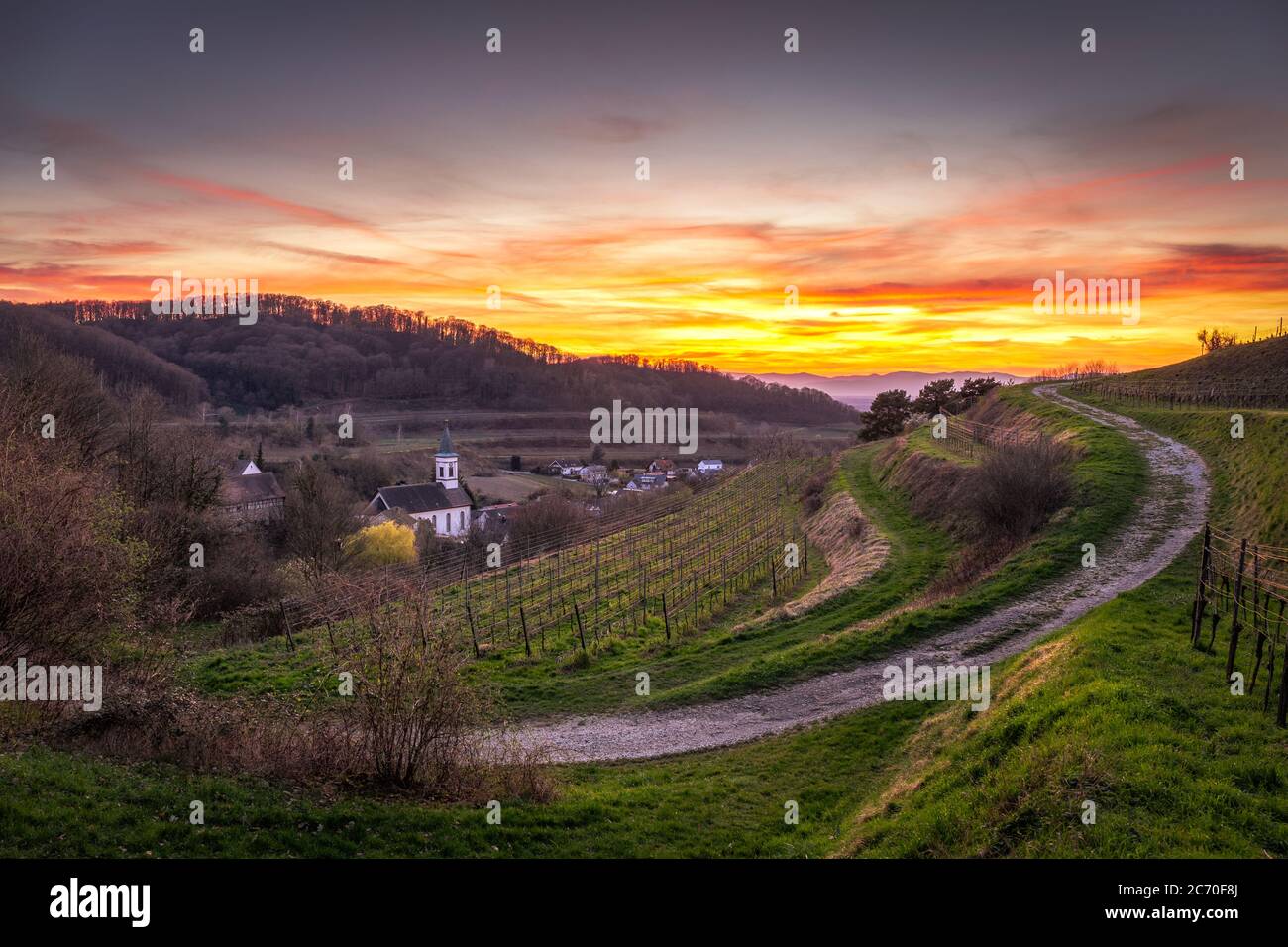 Kaiserstuhl Germania Deutschland Foto Stock