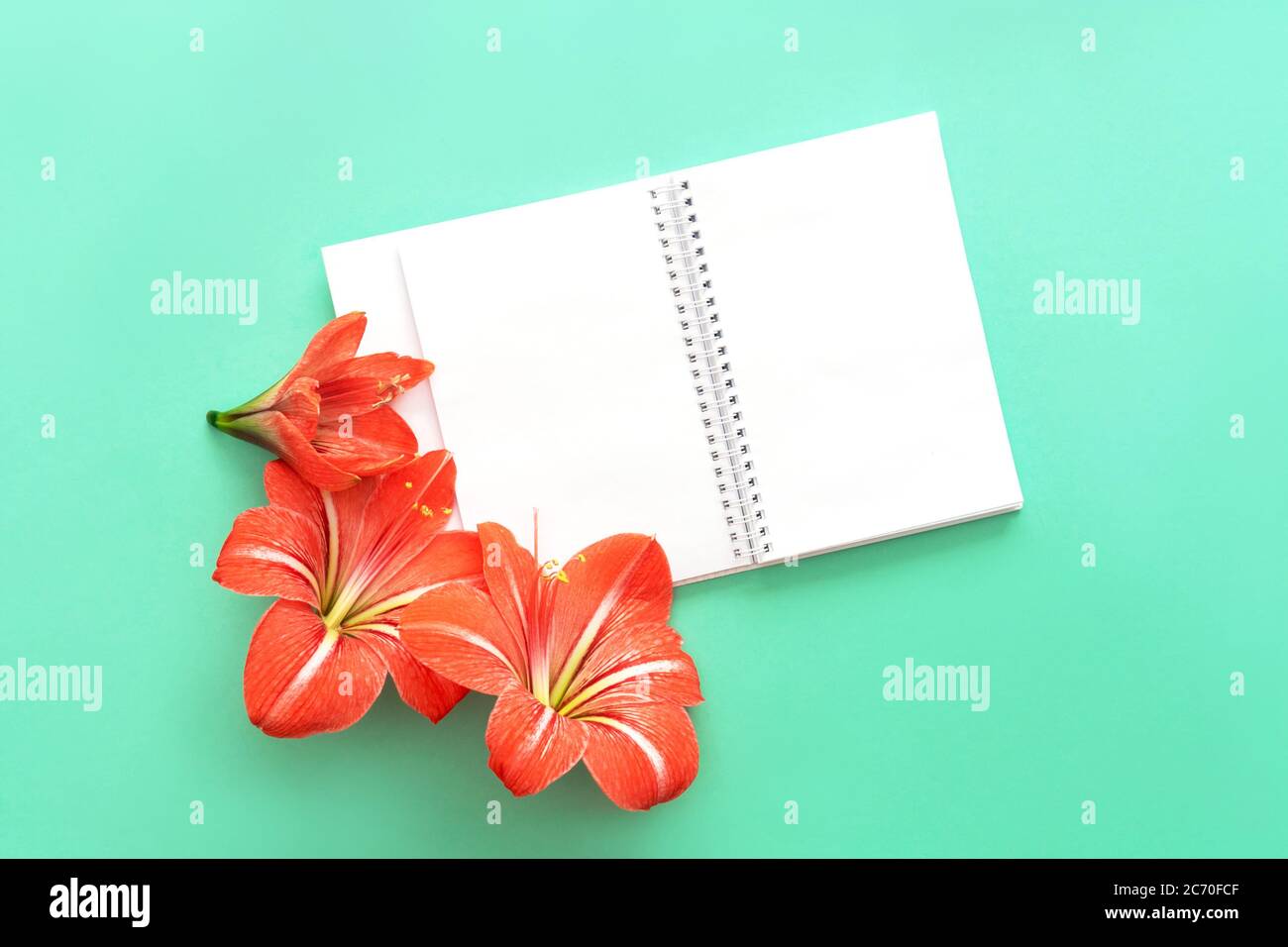 Concetto di San Valentino o giorno della madre. Flower e notebook piatto. Spazio di copia. Foto Stock