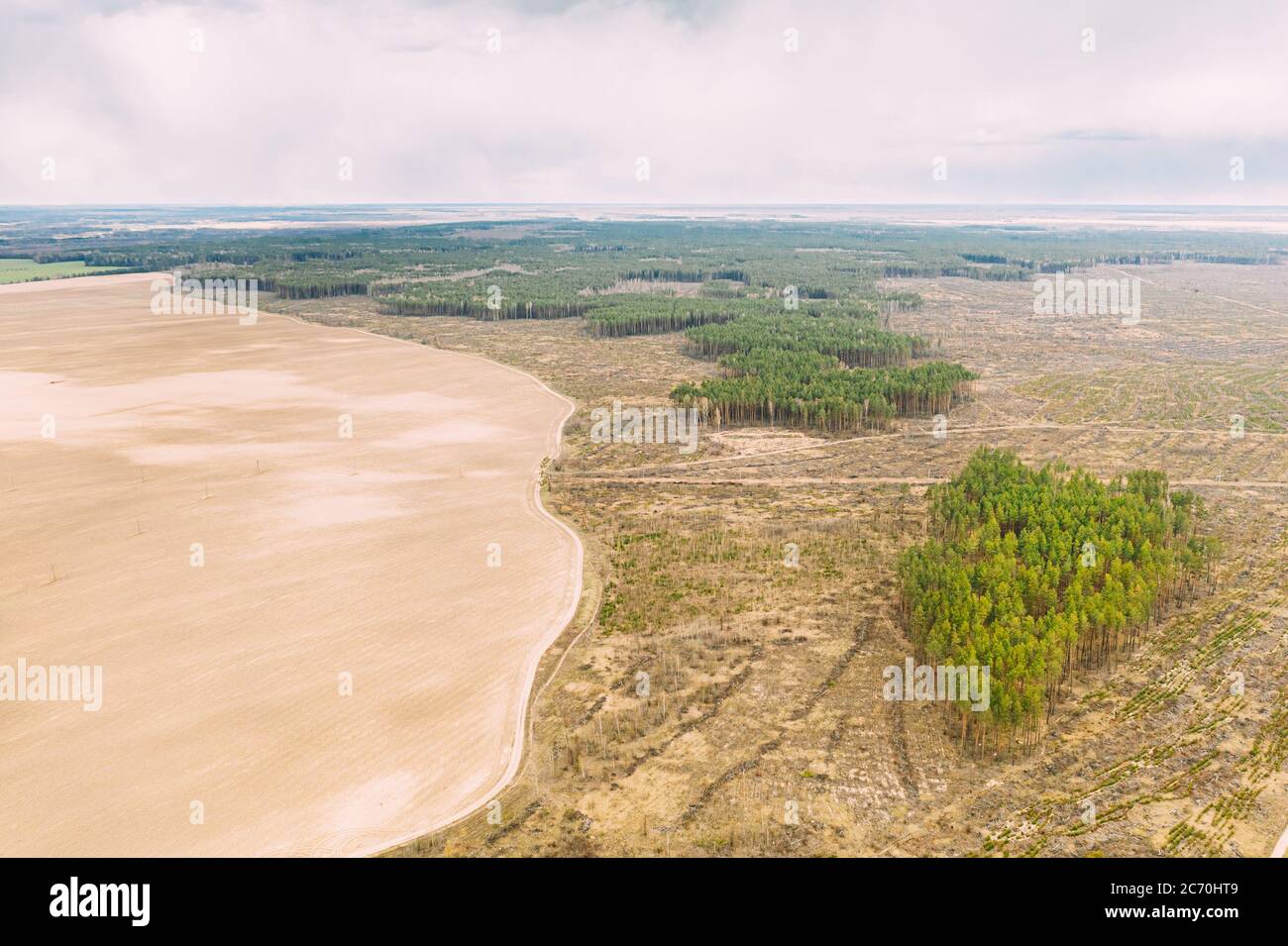 Vista aerea del campo e del paesaggio dell'area di deforestazione. Foresta di Pino Verde nella zona di deforestazione. Vista dall'alto del paesaggio del campo e della foresta. Vista drone Foto Stock