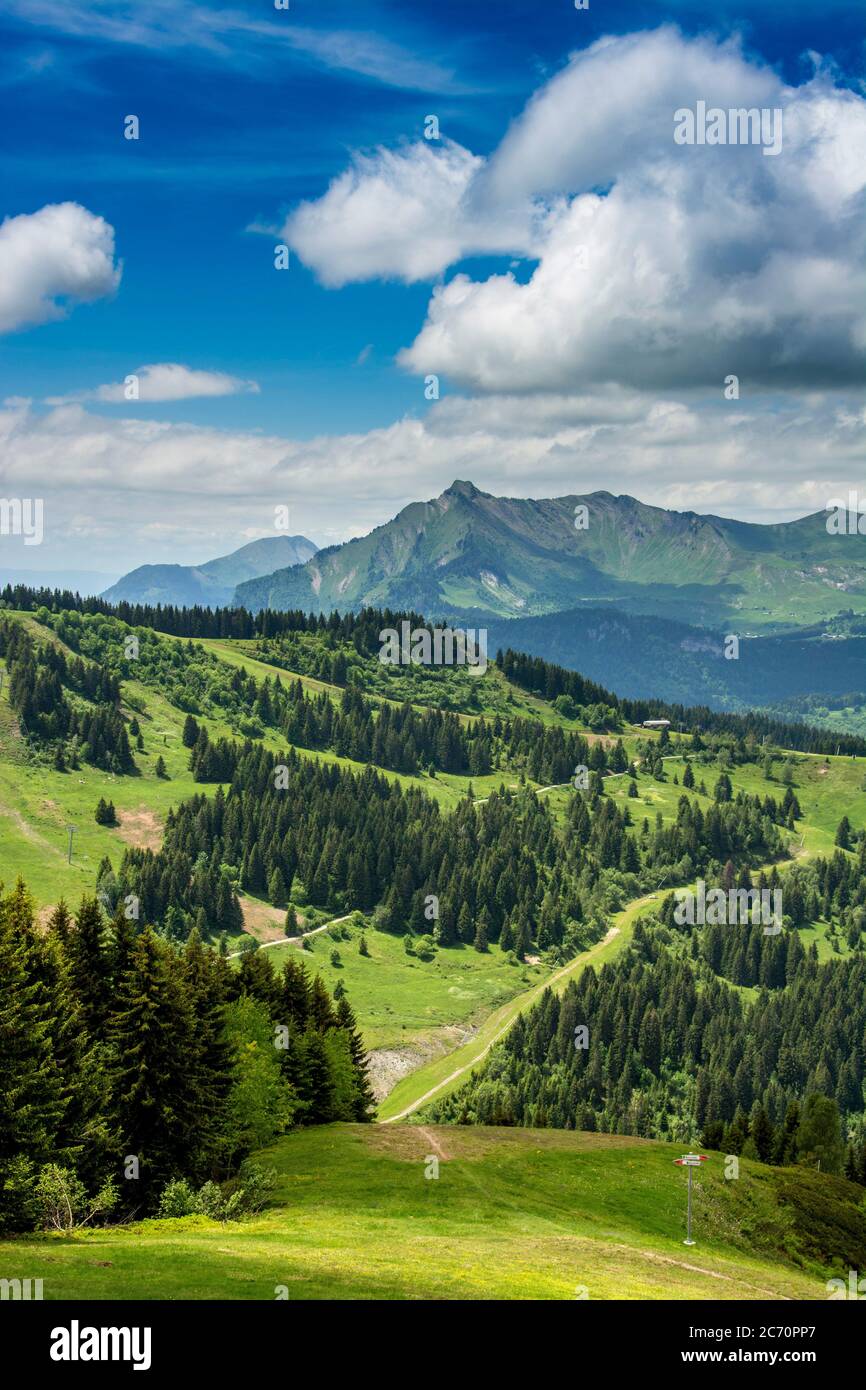 Vista da Les Gets-Morzine sul massiccio di Aravis e Bornes, alta Savoia, Auvergne-Rodano-Alpi, Francia Foto Stock