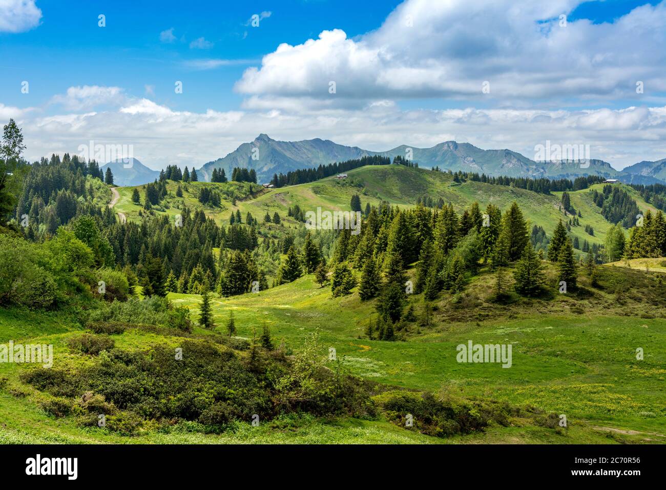 Vista da Les Gets-Morzine sul massiccio di Aravis e Bornes, alta Savoia, Auvergne-Rodano-Alpi, Francia Foto Stock