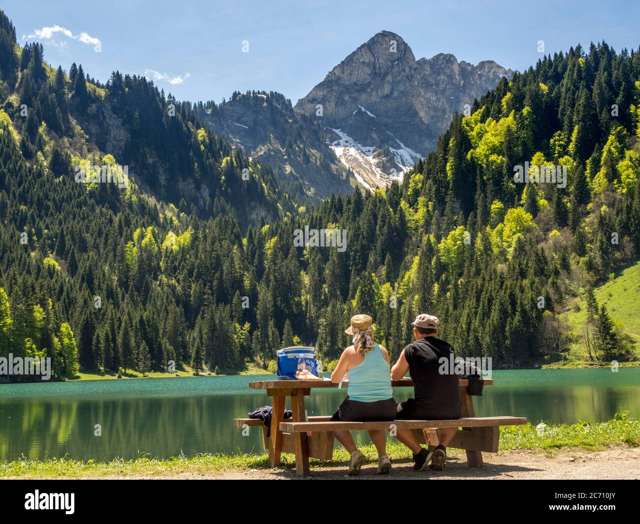 Lago di Plagnes. Chablais. alpi francesi. Alta Savoia. Auvergne-Rhone-Alpes. Francia Foto Stock