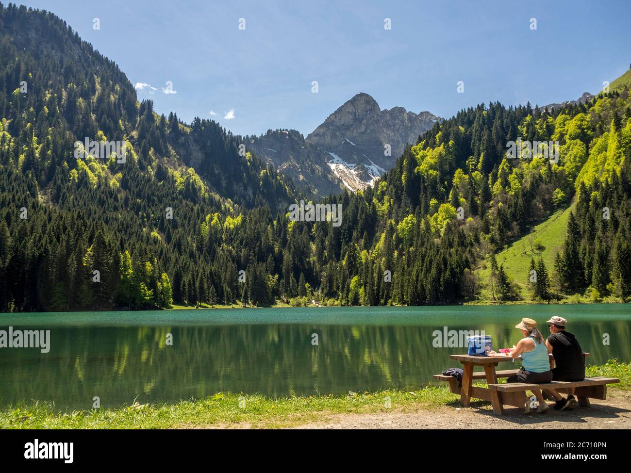 Lago di Plagnes. Chablais. alpi francesi. Alta Savoia. Auvergne-Rhone-Alpes. Francia Foto Stock