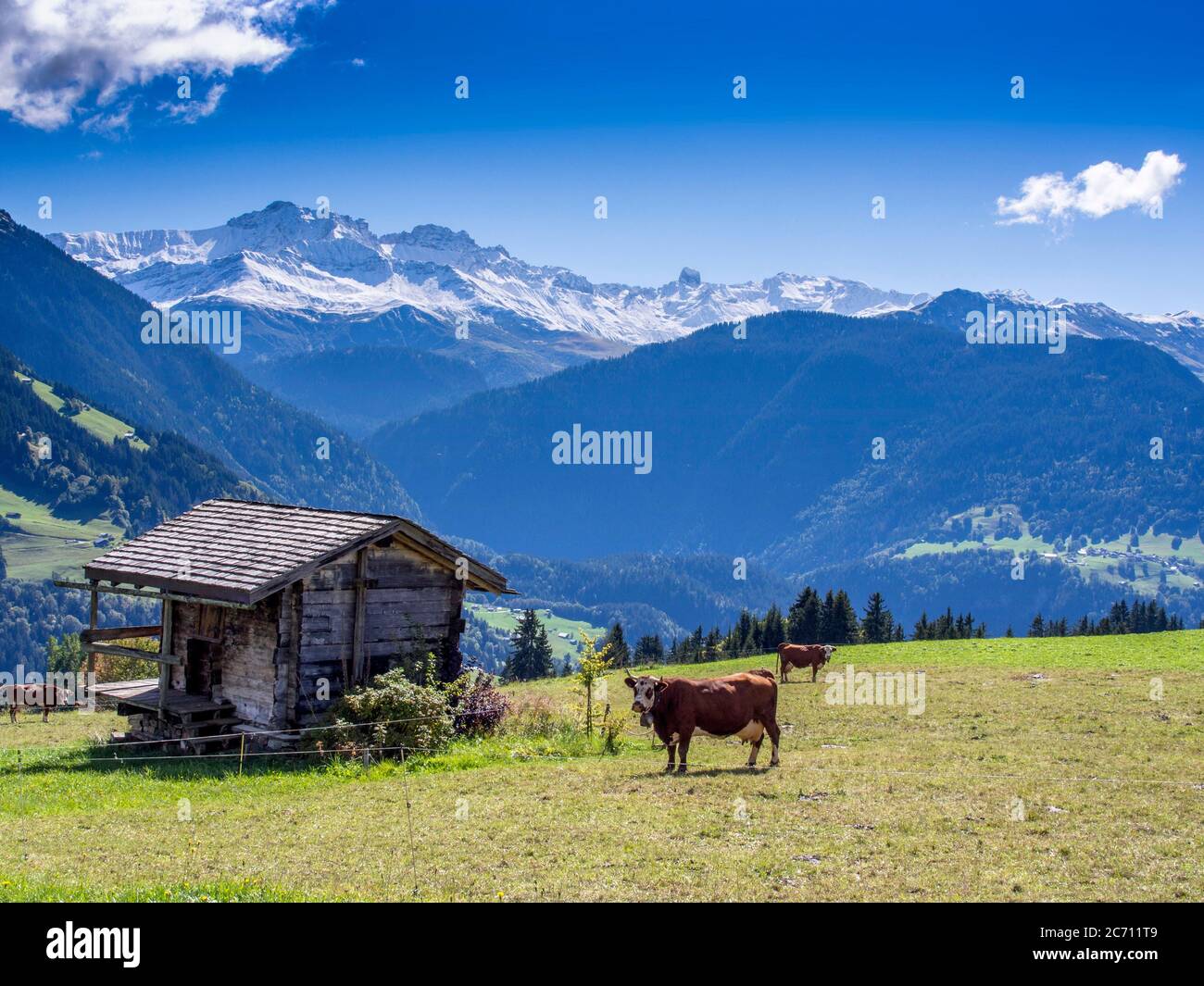 Massiccio del Beaufortain, Savoia, Alpi francesi, Auvergne-Rodano-Alpi, Francia Foto Stock